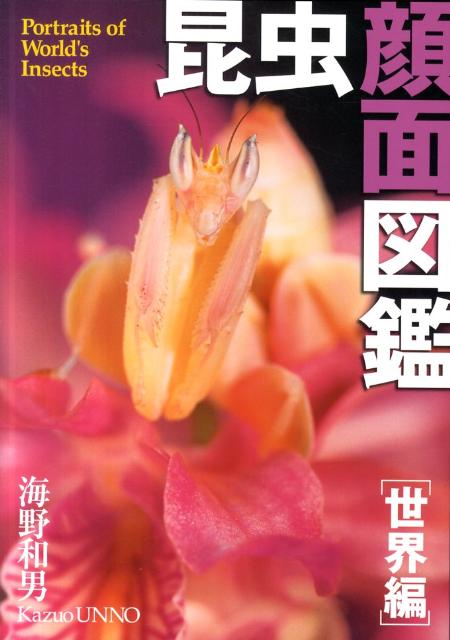 昆虫顔面図鑑（世界編）