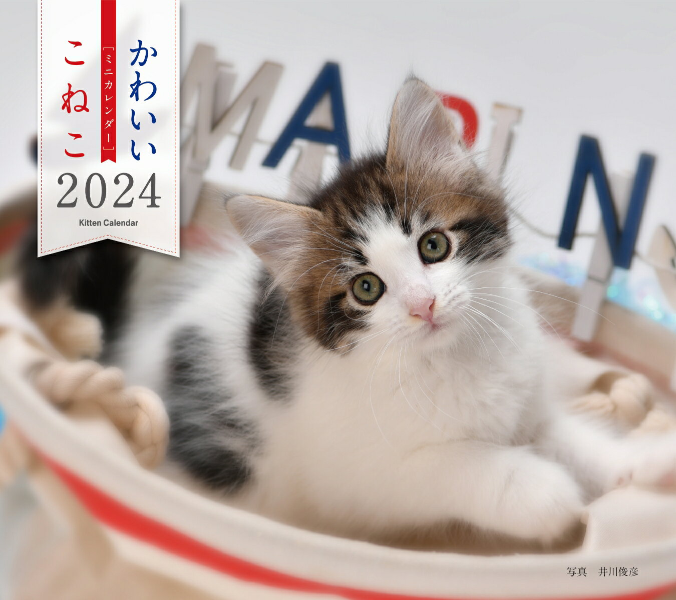 2024年カレンダー かわいいこねこ （誠文堂新光社カレンダー） [ 井川 俊彦 ]