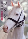 ソダシ写真集 白く強く輝く ソダシ写真集 白く強く輝く