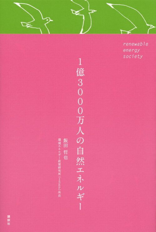 1億3000万人の自然エネルギー