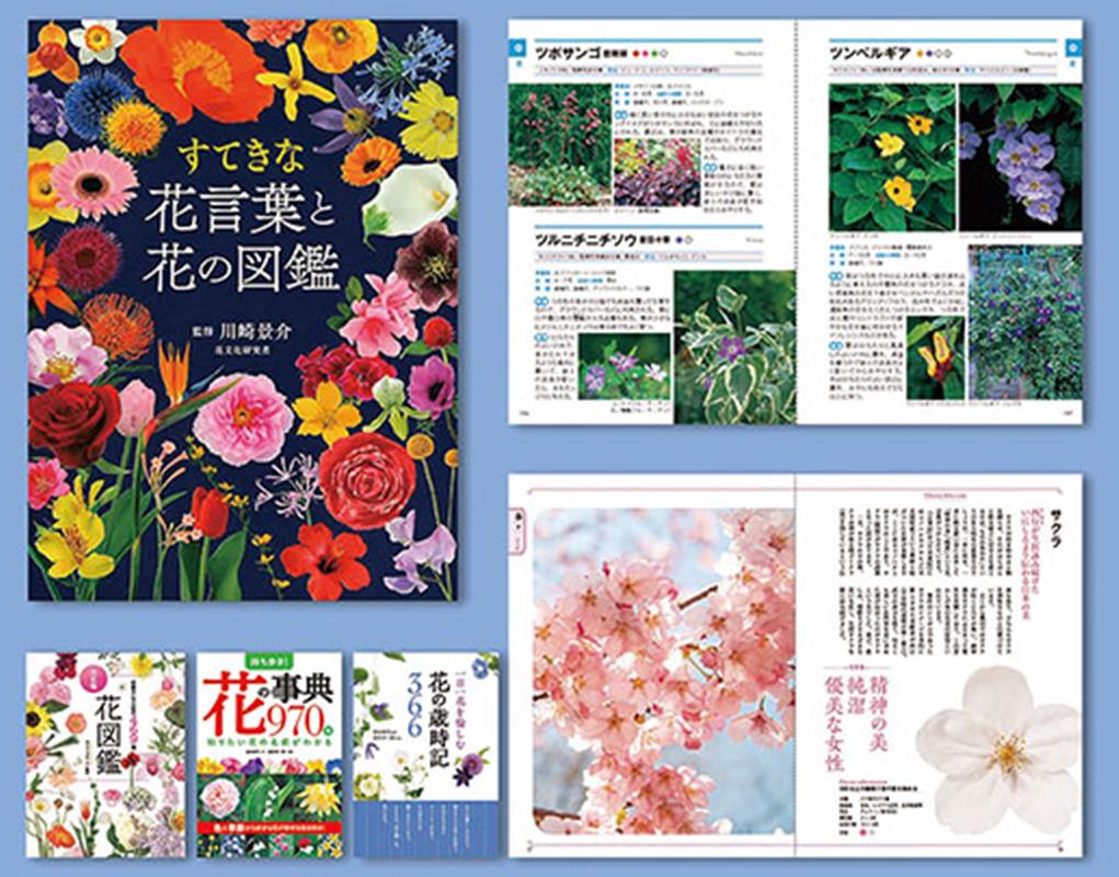 調べて楽しむ！身近な草花図鑑セット（4冊セット）