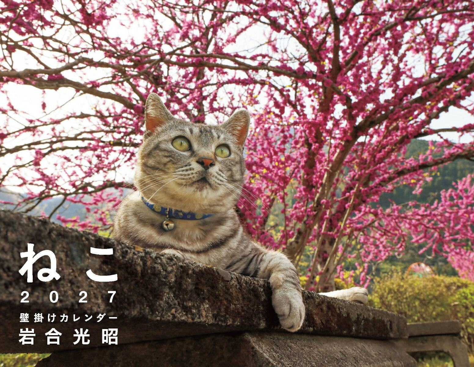 毎年ご好評をいただいている岩合光昭のねこ壁掛けカレンダー。
今年は日本各地のご当地ねこたちが登場です！
ネコたちとともに素敵な一年をお過ごし下さい。