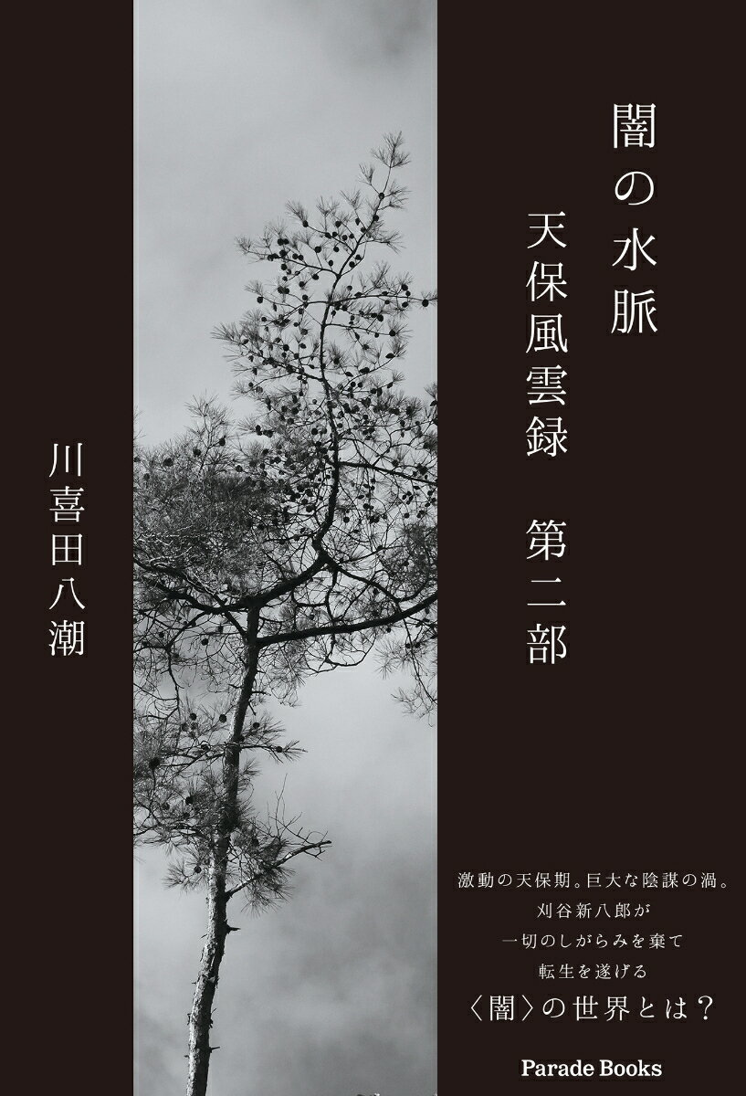 闇の水脈　天保風雲録　第二部