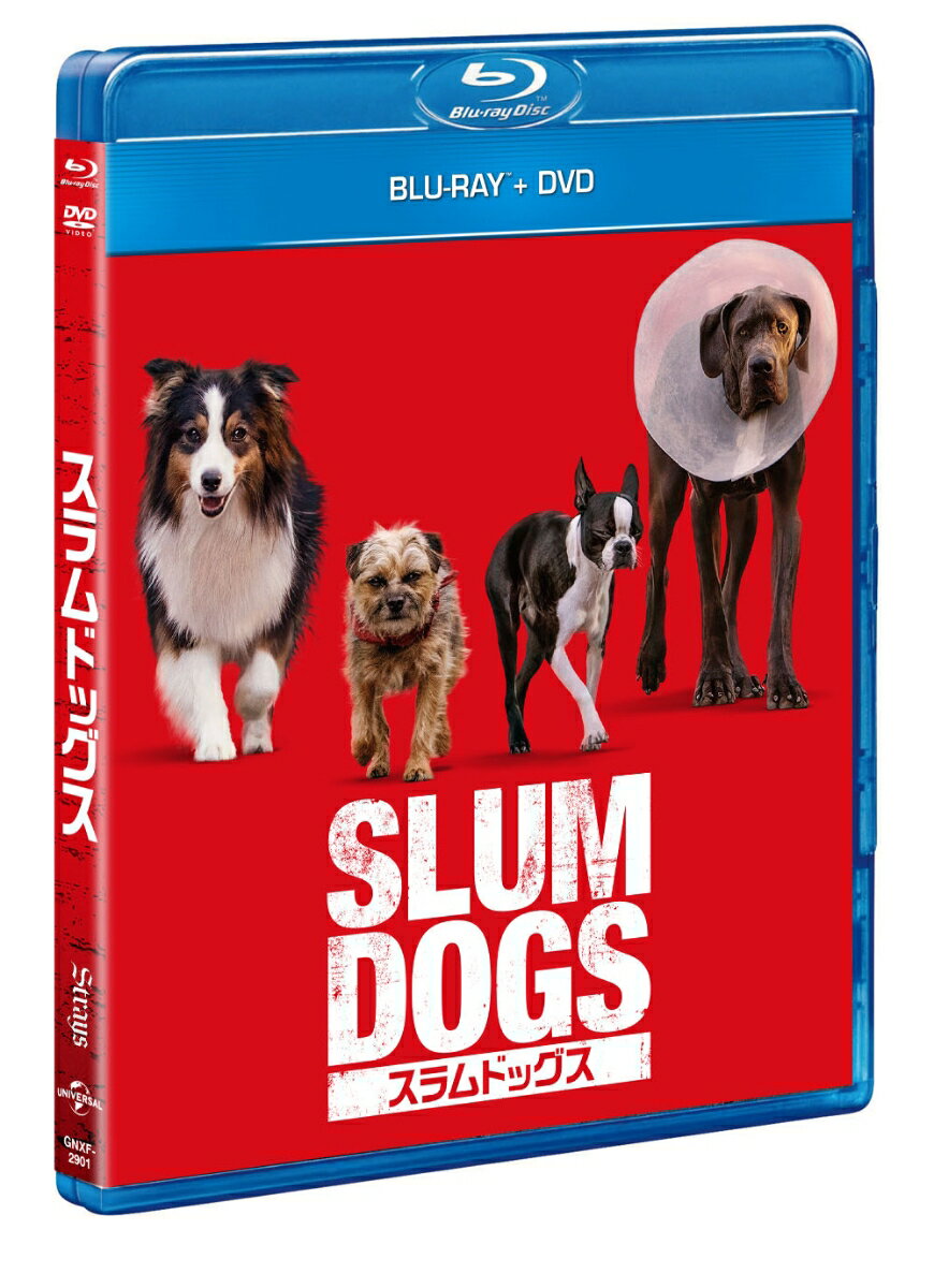 スラムドッグス ブルーレイ+DVD【Blu-ray】 [ ウィル・フォーテ ]
