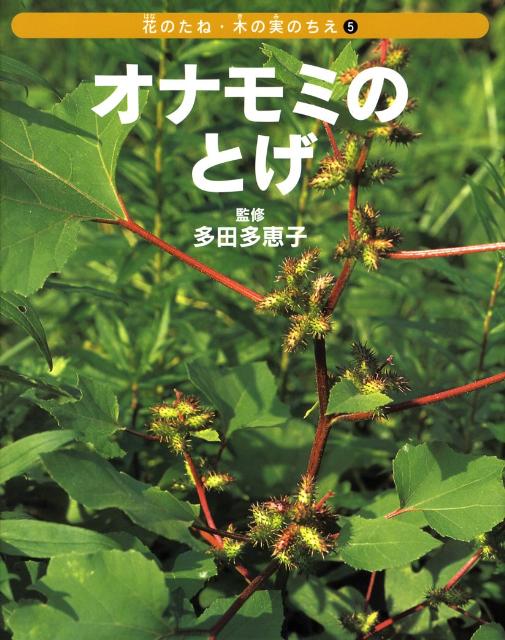 オナモミのとげ 花のたね・木の実のちえ [ ネイチャー・プロ編集室 ]