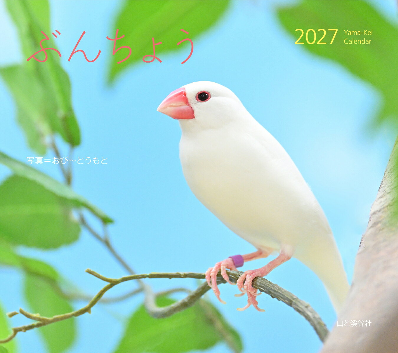 楽天市場】文鳥ぶんちゃんの通販
