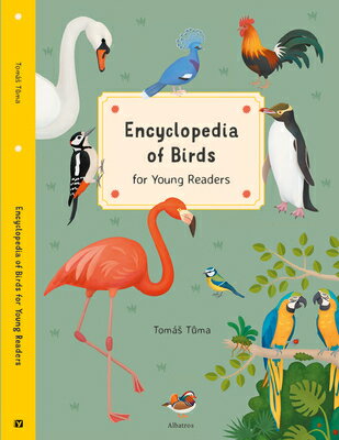 Encyclopedia of Birds for Young Readers: For Young Readers ENCY OF BIRDS FOR YOUNG READER （Encyclopedias for Young Readers） [ Tomas Tuma ]