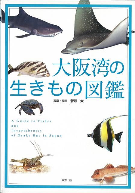 【バーゲン本】大阪湾の生きもの図鑑