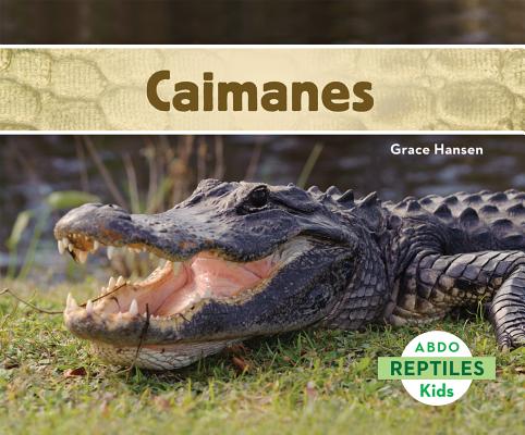 Caimanes (Alligators) SPA-CAIMANES (ALLIGATORS) （Reptiles (Spanish Version)） 