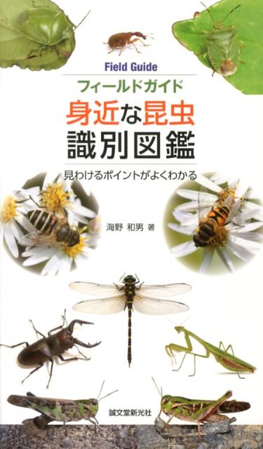 フィールドガイド身近な昆虫識別図鑑