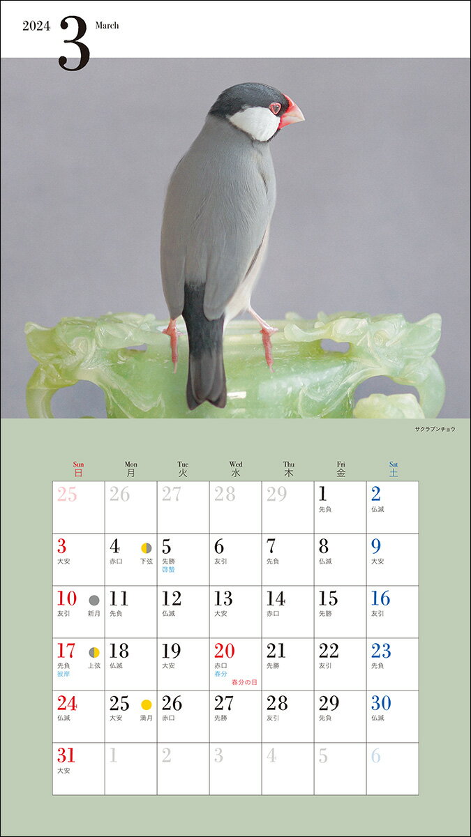 2024年カレンダー かわいい文鳥 (誠文堂新...の紹介画像3