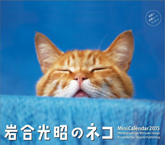 岩合光昭のネコミニカレンダー（2015）