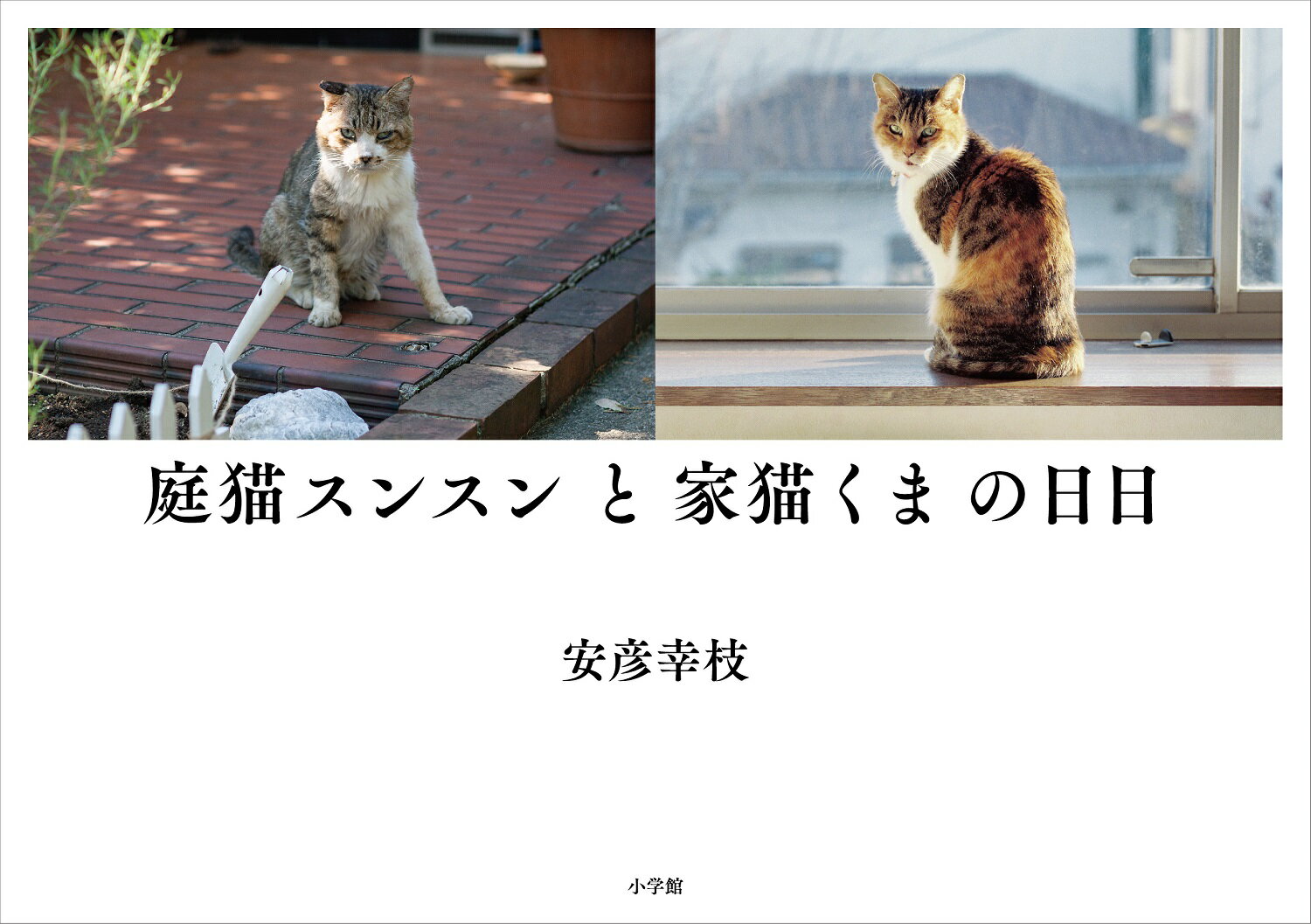 猫にとっての幸せは、永遠にわからない。朝日新聞社『ｓｉｐｐｏ』の大人気連載「家猫庭猫」が単行本になった！