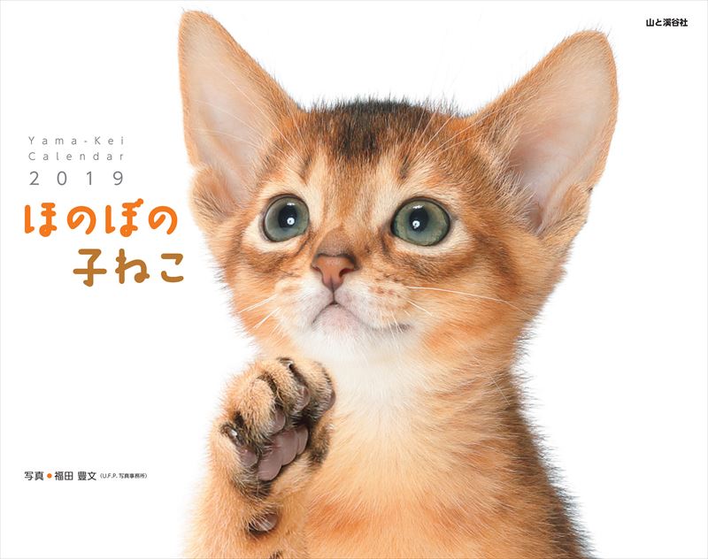 ほのぼの子ねこカレンダー （［カレンダー］）のサムネイル