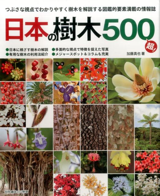 日本の樹木500超！