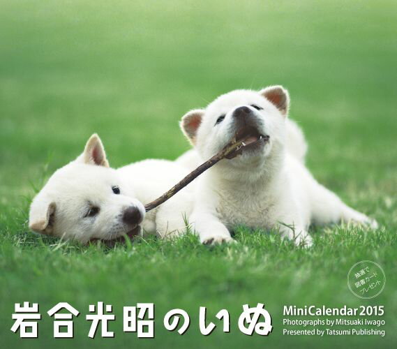 岩合光昭のいぬミニカレンダー（2015）