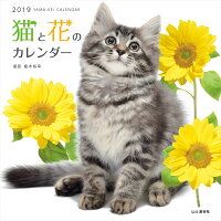 猫と花のカレンダー（2019）