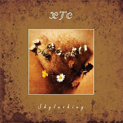 【輸入盤】Skylarking (Corrected Polarity Edition)