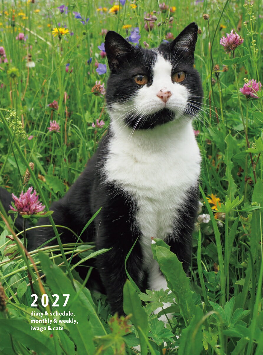 大好評・岩合光昭のねこ手帳。2027年はヨーロッパ各地のネコたちが大集合！
今年も写真はたっぷり77点収載。どちらも使える月間＆週間カレンダーページには、各写真に岩合さんのコメントが入っています！
新しい一年をかわいいネコたちと一緒に過ごしませんか？


商品詳細
●12月始まり/月曜始まり
●基本仕様：糸かがり製本、塩ビ製カバー入り、スピン（しおり紐）1本
●収録ページ
年間：2027年〜2028年
月間：ブロックタイプ　2026年12月〜2027年12月
週間：見開き2週間・セパレートタイプ　2026年11月30日〜2028年1月9日
その他：罫線メモ4ページ