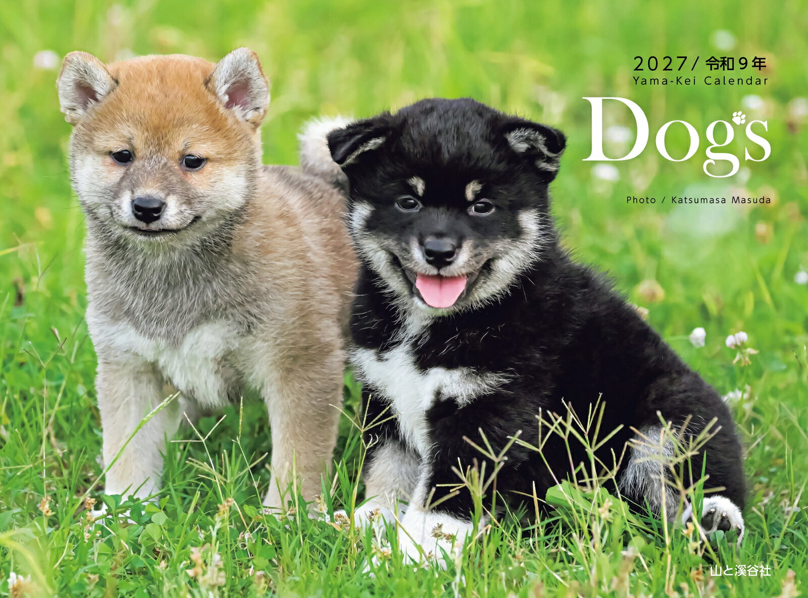 カレンダー2027 Dogs（月めくり/壁掛け/犬）