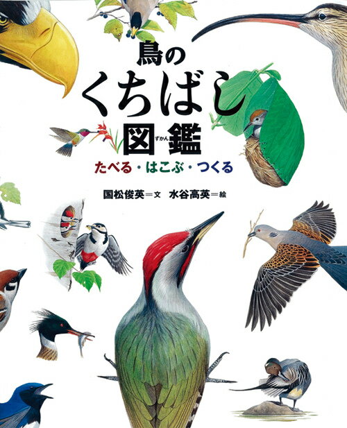 鳥のくちばし図鑑