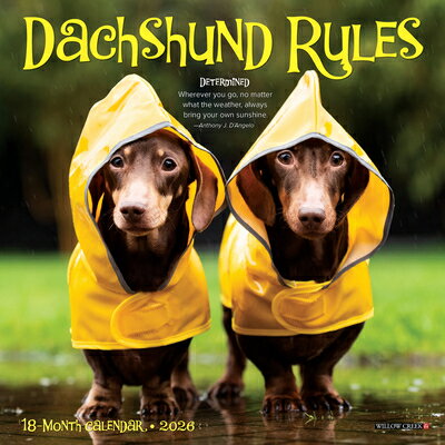 Dachshund Rules 2026 Mini Wall Calendar DACHSHUND RULES 2026 MINI WALL [ Willow Creek Press ]