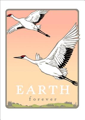 Whooping Cranes: Earth Forever (Boxed): Boxed Set of 6 Cards WHOOPING CRANES EARTH FOREVER [ Bruce Smith ]