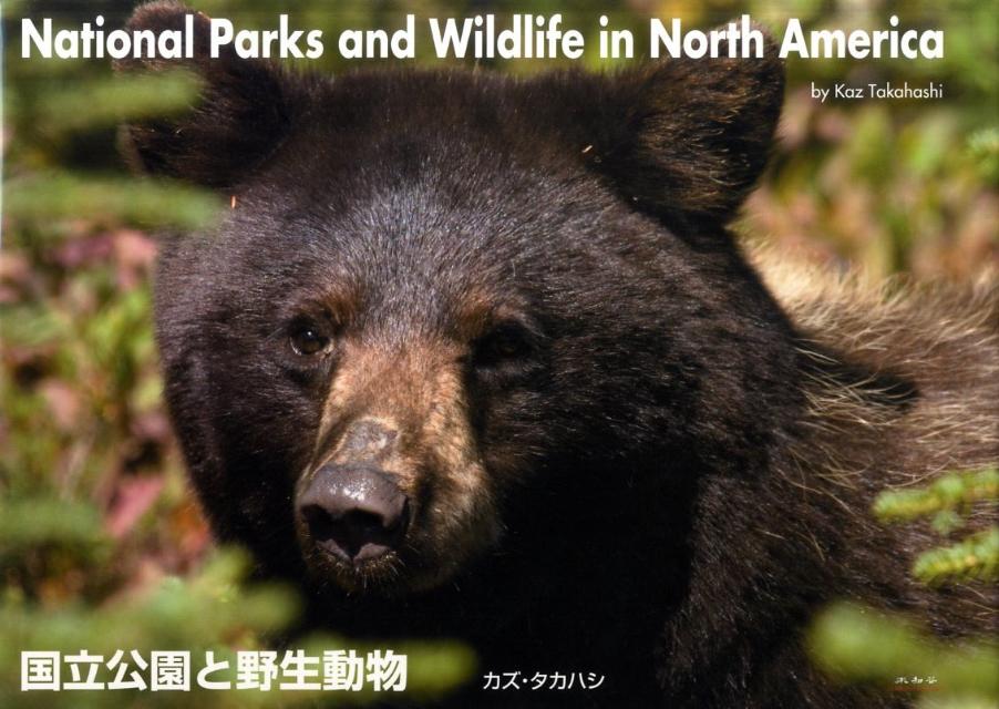 国立公園と野生動物 [ カズ・タカハシ ]