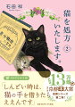 薬ではなく、本物の猫を患者に処方する怪しげなクリニック「中京こころのびょういん」。ノリの軽いニケ先生と無愛想な美人看護師・千歳さんのもとを訪れる患者は彼氏との関係に悩む女子大生や妻に先立たれた老人、保護猫センターで働く男など事情も様々。「処方猫」と過ごす時間によって、患者たちは少しずつ心の傷を癒やしていく。一方、猫を処方するニケ先生には秘密があってー？大人気シリーズ第二弾！文庫書き下ろし。