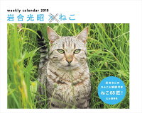 岩合光昭×ねこカレンダー（2019）