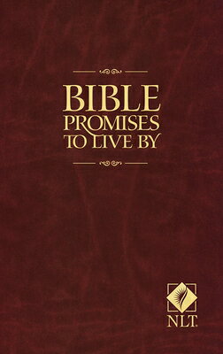 This little book introduces you to God's greatest and most personal promises--over 750 promises from God covering 70 different topics. The topics show that God's care and concern extends to all people for all time, including you! God's promises are as ancient as they are current and fresh, which means they apply as much to your past and present as they do to your future. His promises are relevant not only in your most needy hour, but also in times of blessing and even in the routine of everyday life. Knowing God's promises will help you discover what God desires for your life and how to receive and enjoy all that God has in store for you!