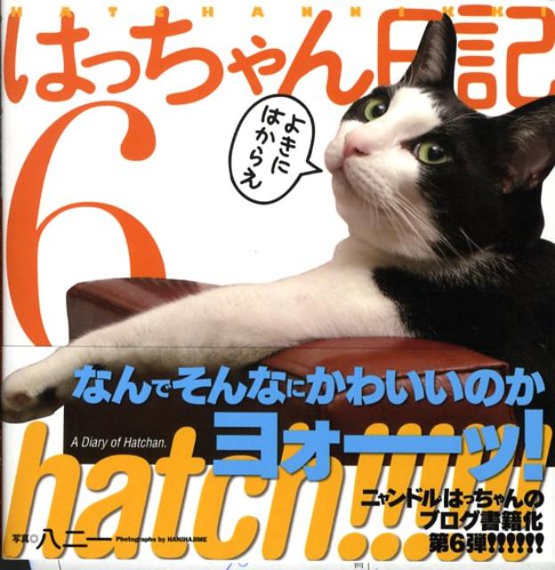 Hatch！！！！！！（6）