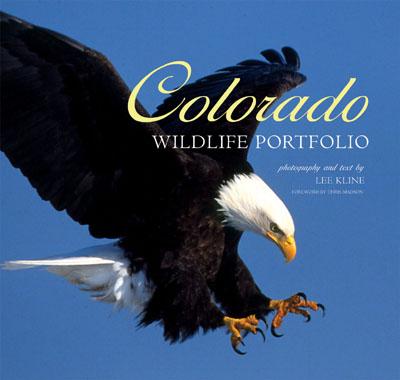 Foreword by Chris Madson, editor, Wyoming Wildlife magazine. Featuring a collection of images more than forty years in the making, Colorado Wildlife Portfolio is a true photographic treasure, pairing spectacular images of wildlife with fascinating and informative captions detailing the photographer's experiences in the field. See bighorn rams at war in the rugged low country; tiny, highstrung pikas harvesting food on talus and tundra slopes; monstrous bull elk bugling thunderously as they succumb to the natural drives of the fall rut in timeless fashion; and so much more.