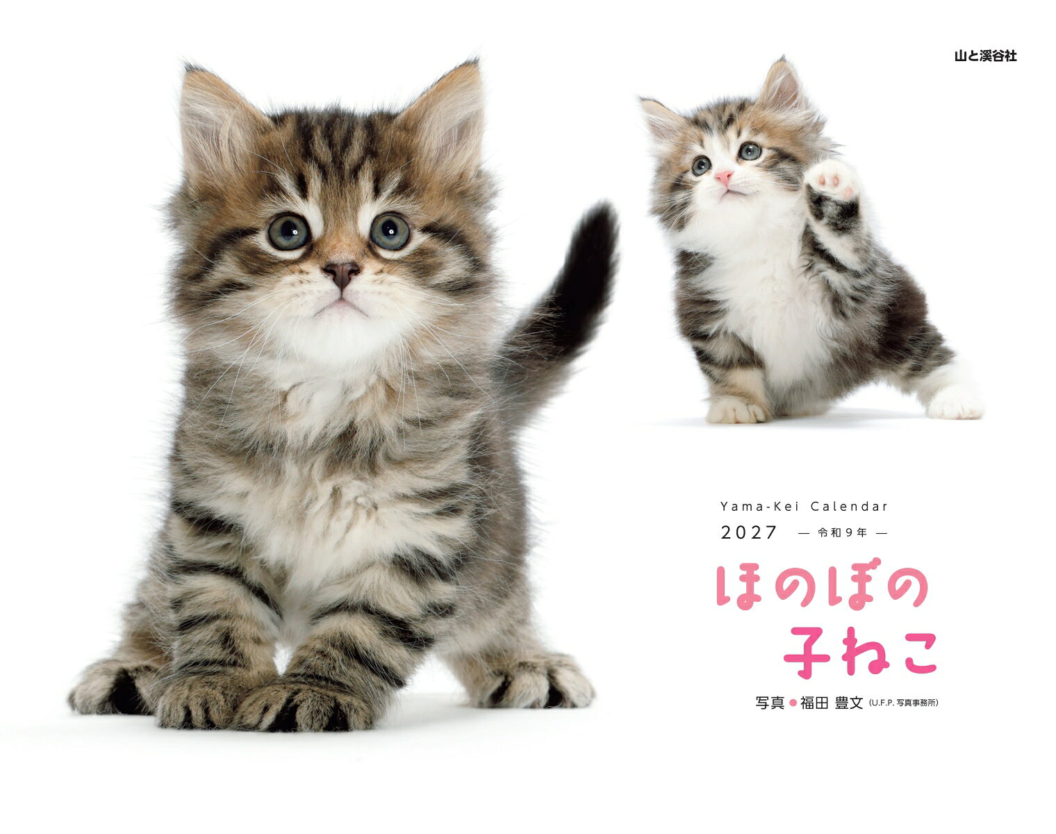 カレンダー2027 ほのぼの子ねこ（月めくり/壁掛け/猫 子猫）