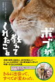 ぼくは人生のなかで何度も何度も間違った選択をしてきた。けれど、ボブと名づけた茶トラの野良猫を迎え入れるという選択だけは間違っていなかった。ボブといっしょにいることで幾度となく目を見開かされる思いがしたし、前向きに考えることもできた。これまでの１０年ちょっとのあいだ、ボブはぼくにとってまさしく師でありつづけてくれた。本物の友情、自由な心、自分を知ること…。ホームレスの青年が一匹の野良猫から学んだ幸福に生きるための知恵。