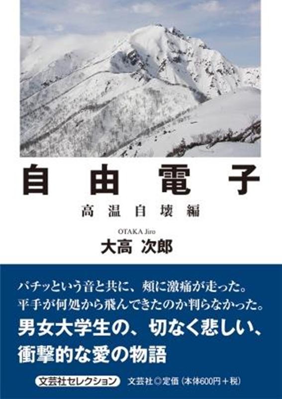 自由電子 高温自壊編 （文芸社セレクション） [ 大高次郎 ]