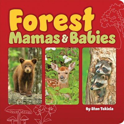 Forest Mamas & Babies FOREST MAMAS & BABIES （Mamas and Babies） [ Stan Tekiela ]