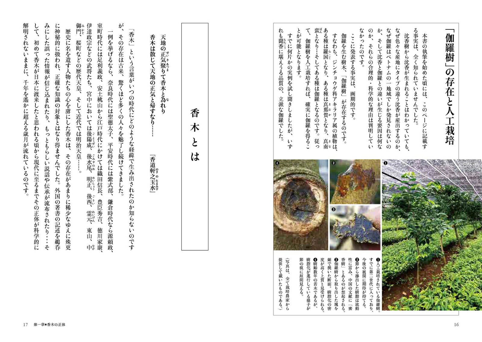 ���ڻ��� �缫���α��Ҥˤ����� [ ������͵ ]