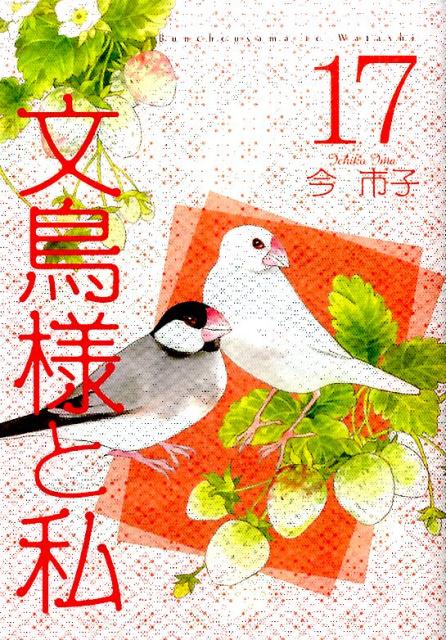 文鳥様と私（17）