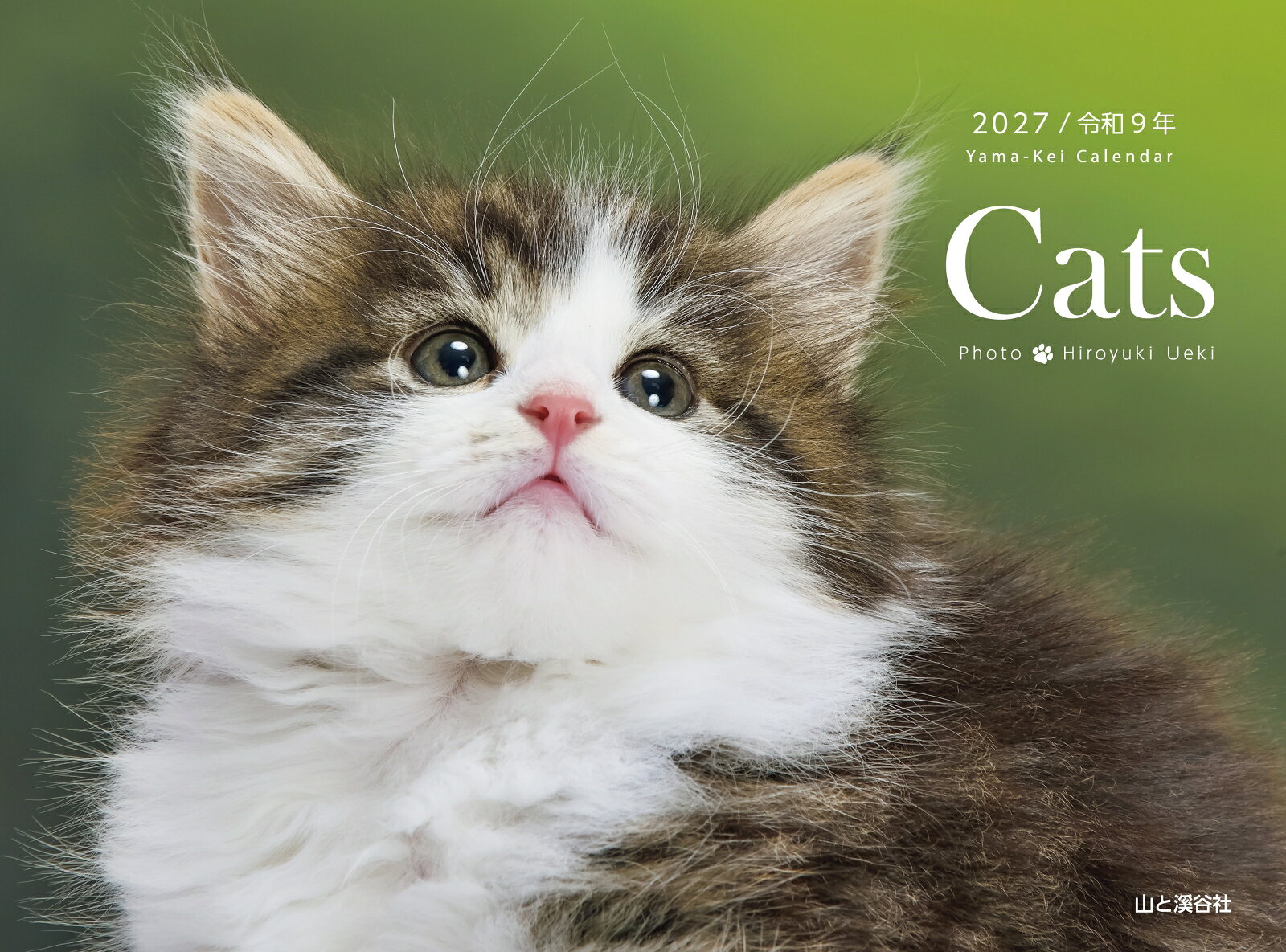 カレンダー2027 Cats（月めくり/壁掛け・リング/猫 ねこ こねこ）の表紙