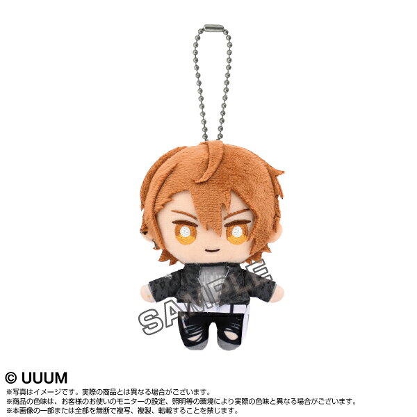 「カラフルピーチ」よりChibiぬいマスコットの Ver.2が新登場！たくさん一緒にお出かけしてくださいね♪【サイズ】約H10cm【対象年齢】：