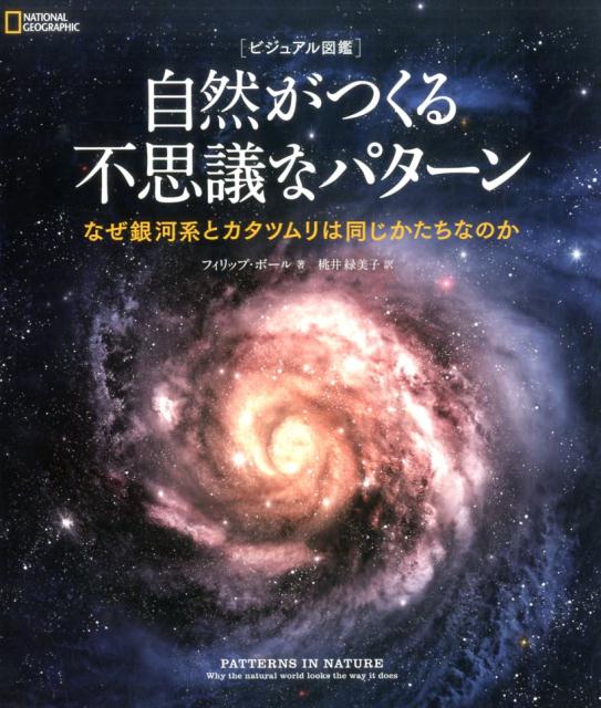 自然がつくる不思議なパターン