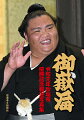 令和元年の大相撲秋場所で幕内最高優勝を果たした関脇御嶽海関の１５日を追った優勝記念報道写真集。