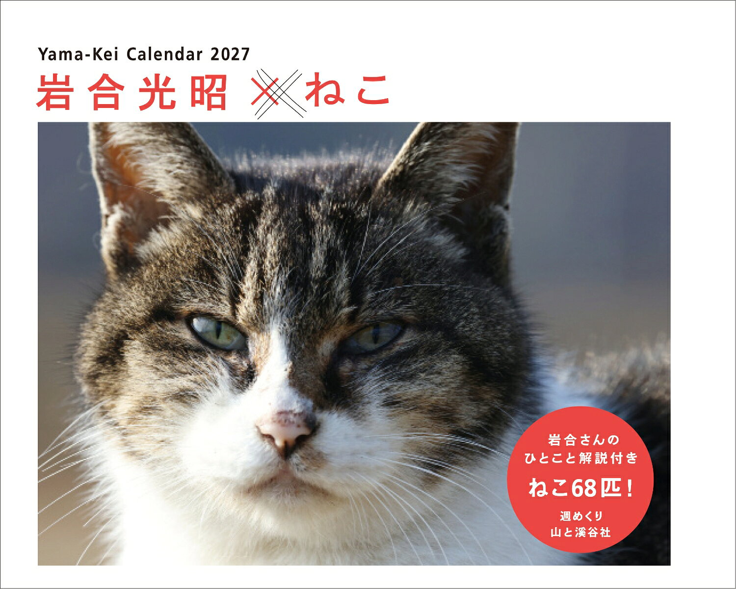 カレンダー2027 岩合光昭×ねこ（週めくり/卓上・リング/猫 風景）