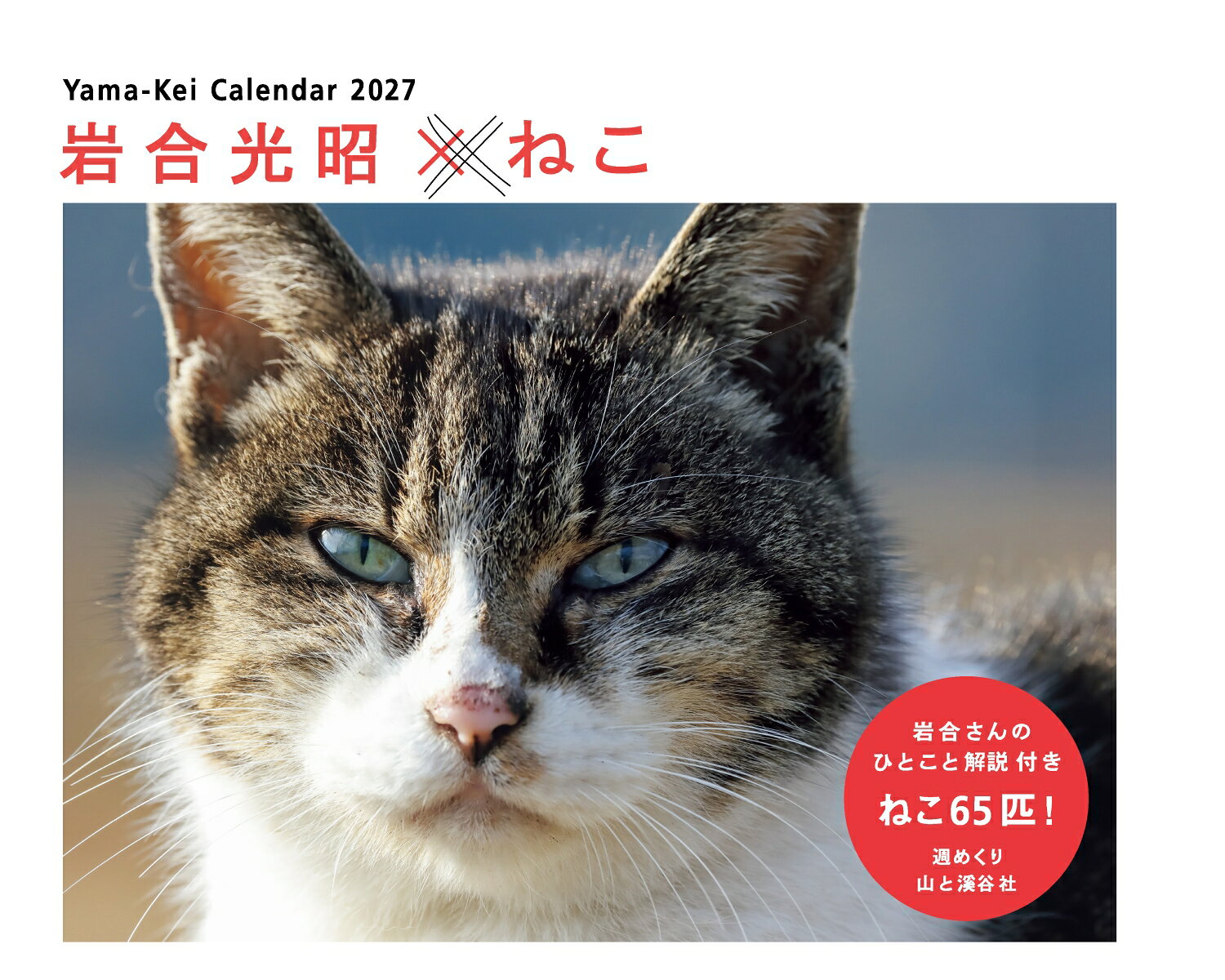 カレンダー2027 岩合光昭×ねこ（週めくり/卓上・リング/猫 風景） （Yama-Kei　Calendar 2027） [ 岩合 光昭 ]