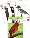Birds of the Gulf Coast CD-BIRDS OF THE GULF COAS-54PK (Nature's Wild Cards) [ S...