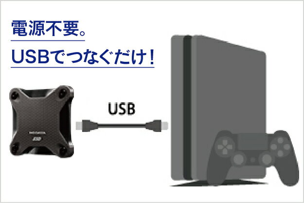 PS4対応 外付けSSD 480GB