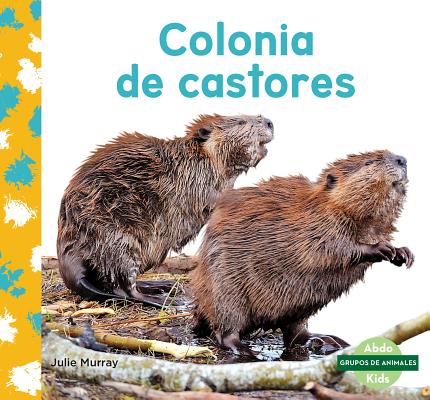 Colonia de Castores (Beaver Colony) SPA-COLONIA DE CASTORES (BEAVE （Grupos de Animales (Animal Groups)） 
