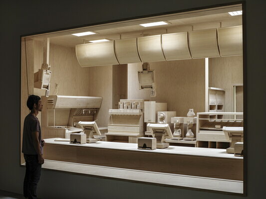 ROXY PAINE:DIORAMAS(H)