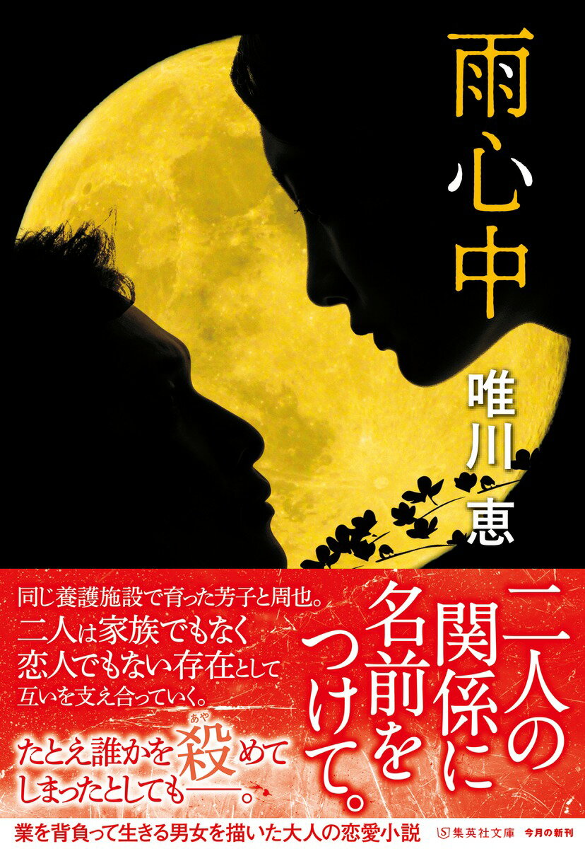 雨心中 (集英社文庫(日本)) [ 唯川 恵 ]の紹介画像2